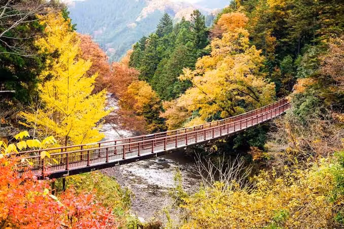 Tokyo Private Tour - 