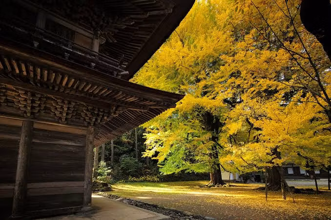 Tokyo Private Tour - 