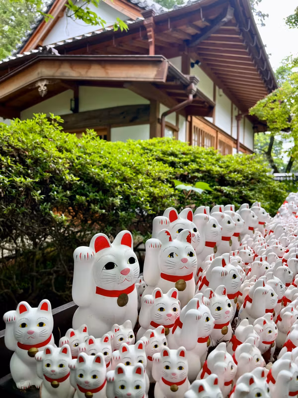 Kanagawa Private Tour - Waving Cats