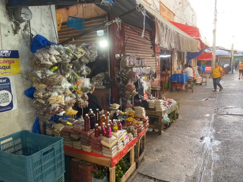 Merida Private Tour - 