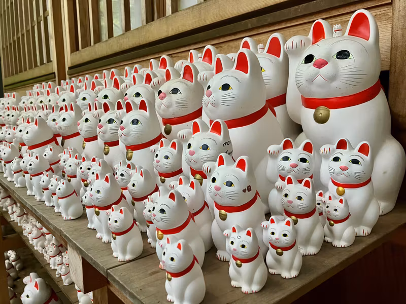Tokyo Private Tour - Gotokuji lucky cat charm