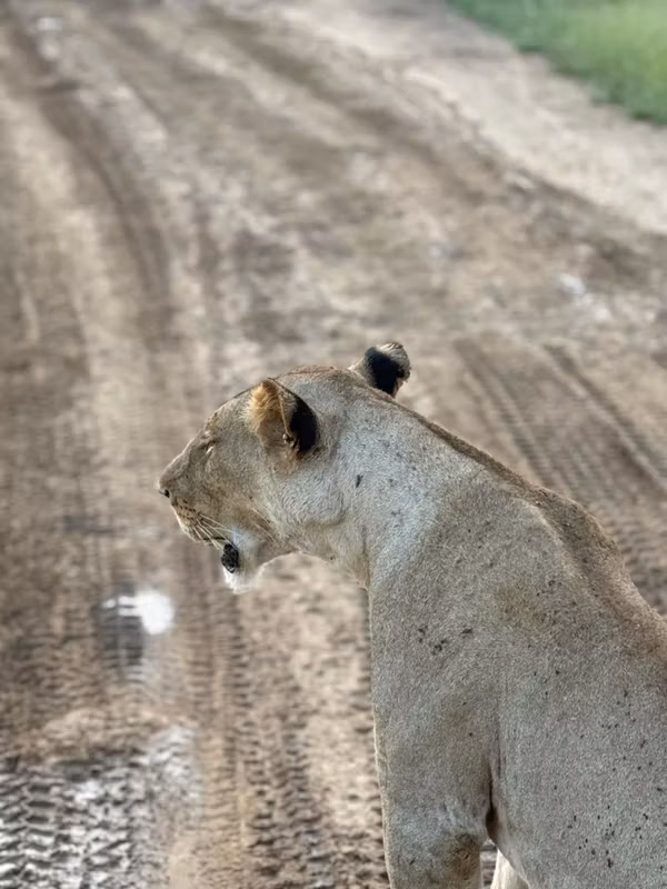 Dar es Salaam Private Tour - 