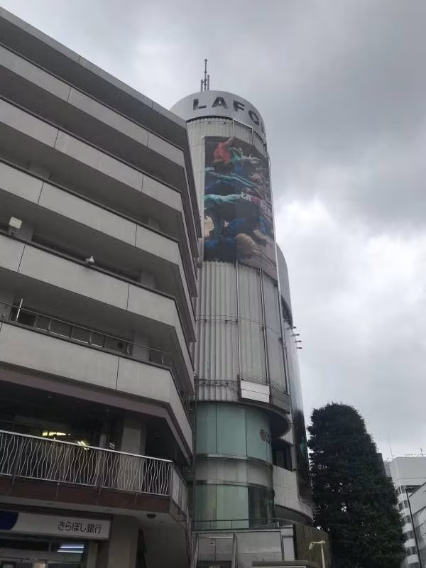 Tokyo Private Tour - null