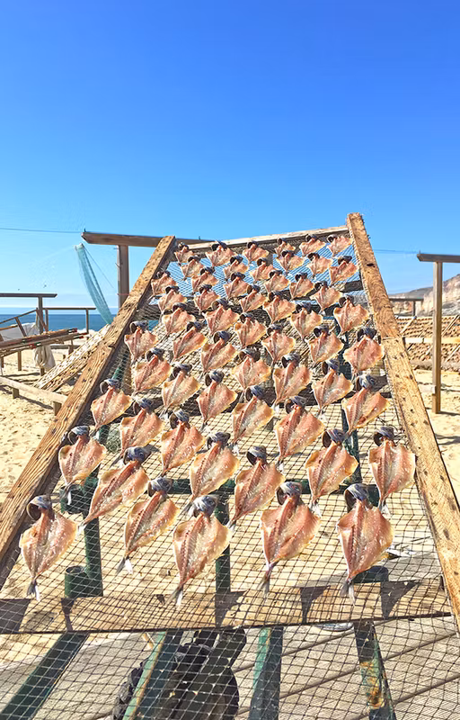 Lisbon Private Tour - Traditional dry fish on the sun