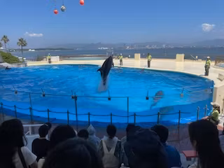 Fukuoka Private Tour - Marine World