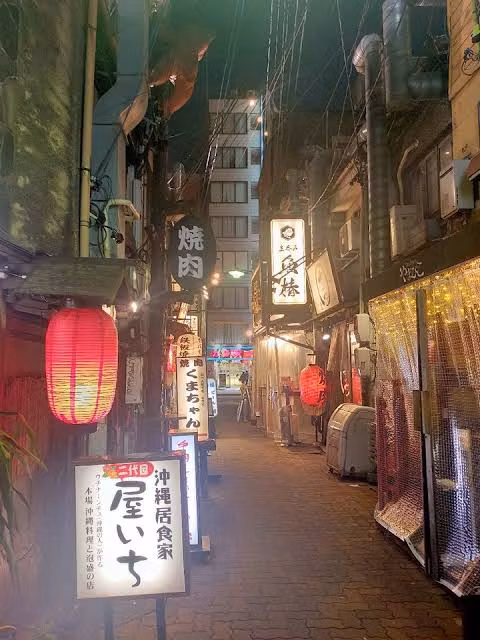 Nagoya Private Tour - 