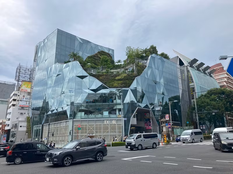 Tokyo Private Tour - Omotesando Architecture