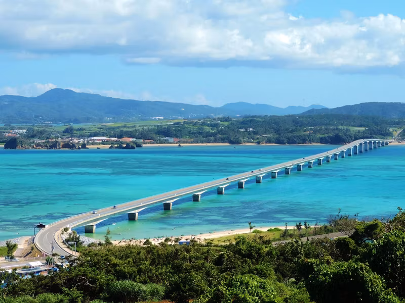 Okinawa Main Island Private Tour - 