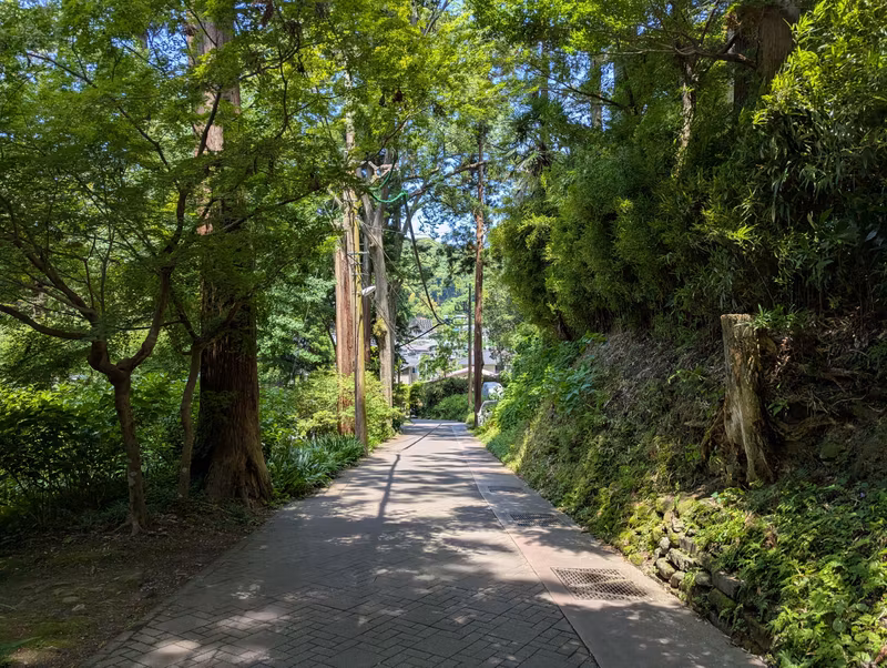Kanagawa Private Tour - 