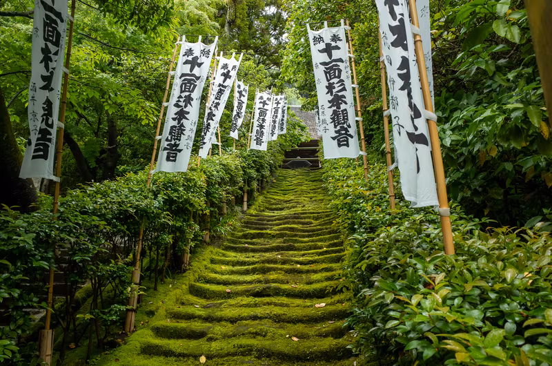 Kamakura Private Tour - 【Nature-2】Sugimoto-dara, moss stair