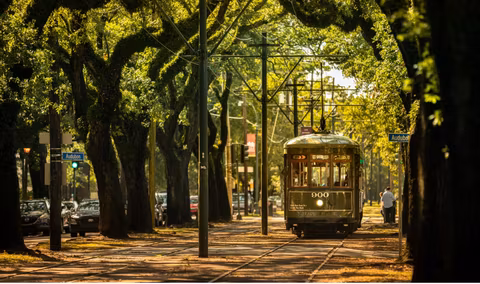 Private New Orleans City Tour - Half Daycover image