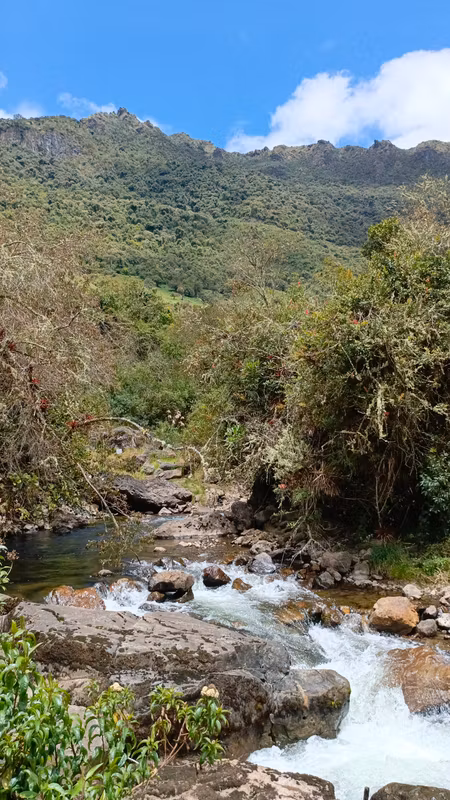 Quito Private Tour - High cloud forest