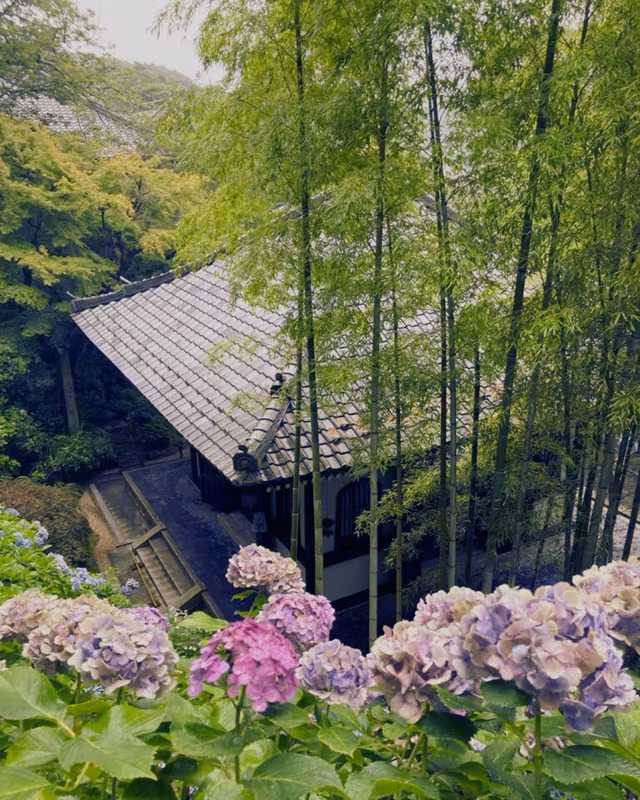 Kamakura Private Tour - Hase-dera: one place with many charms.