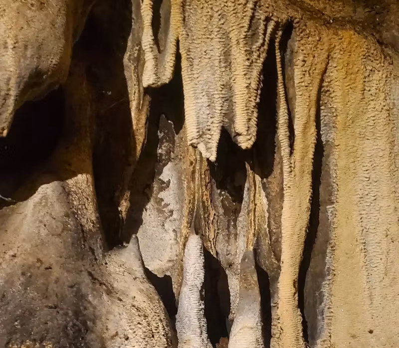 Tanga Private Tour - 