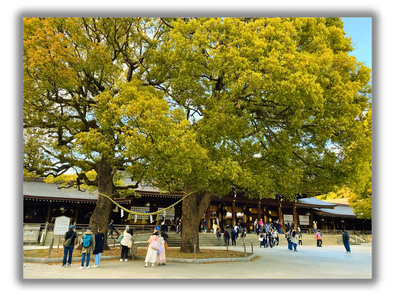 Tokyo Private Tour - Two sacred trees, standing side by side