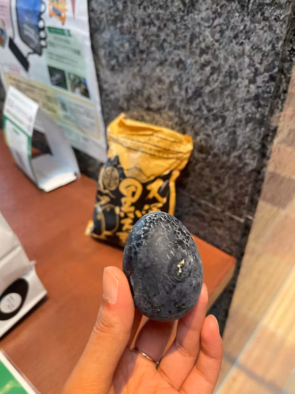 Kanagawa Private Tour - Black egg known to add 7 years to your life