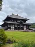 [Nara] Day Tour with a Private Car - 3h by Sedan (4 pax) - 2
