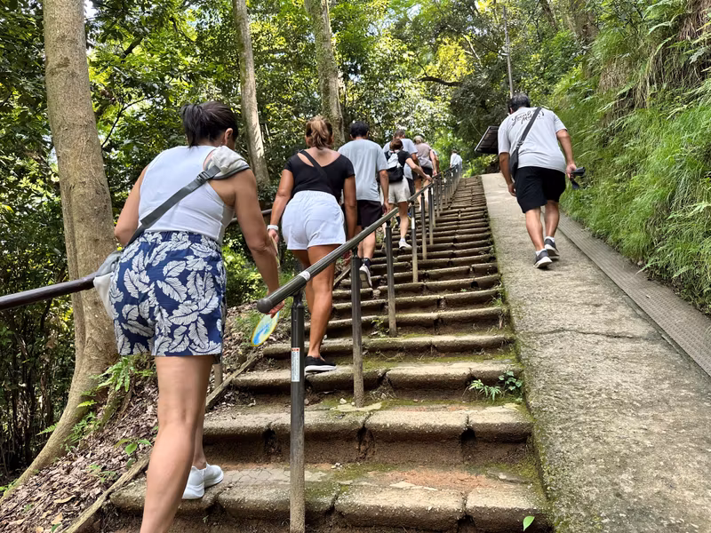 Kyoto Private Tour - stepping up the monkey mountain