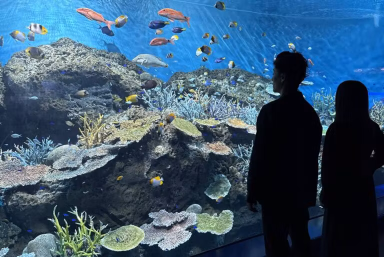 Ibaraki Private Tour - 