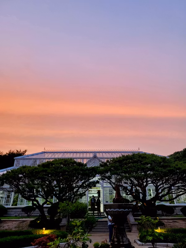 Seoul Private Tour - Sunset in a Palace