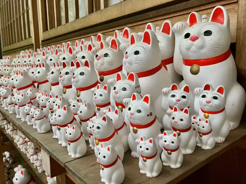 Full Day Private Car Tour of Tokyo Setagaya; Skyview, Temples, Shrine & Good Foodcover image