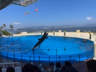 Fukuoka Private Tour - Marine Workd