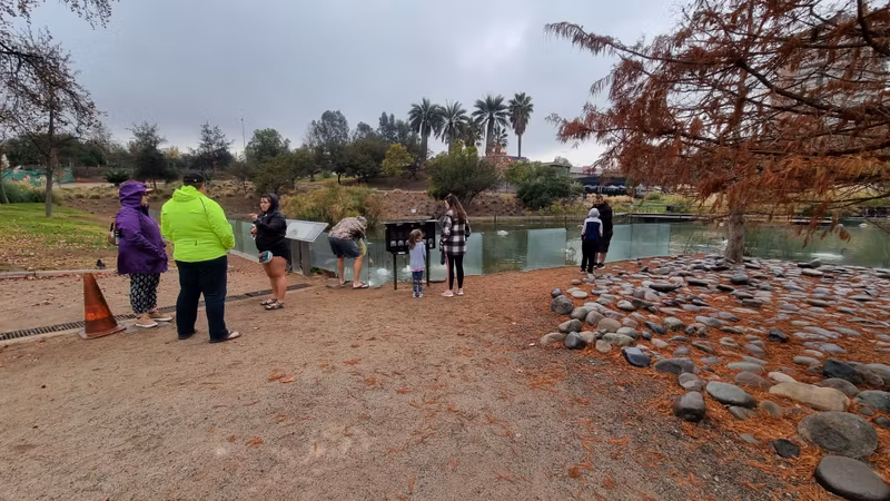 Santiago Private Tour - Bicentennial park