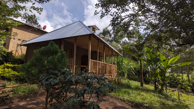 Tanga Private Tour - 