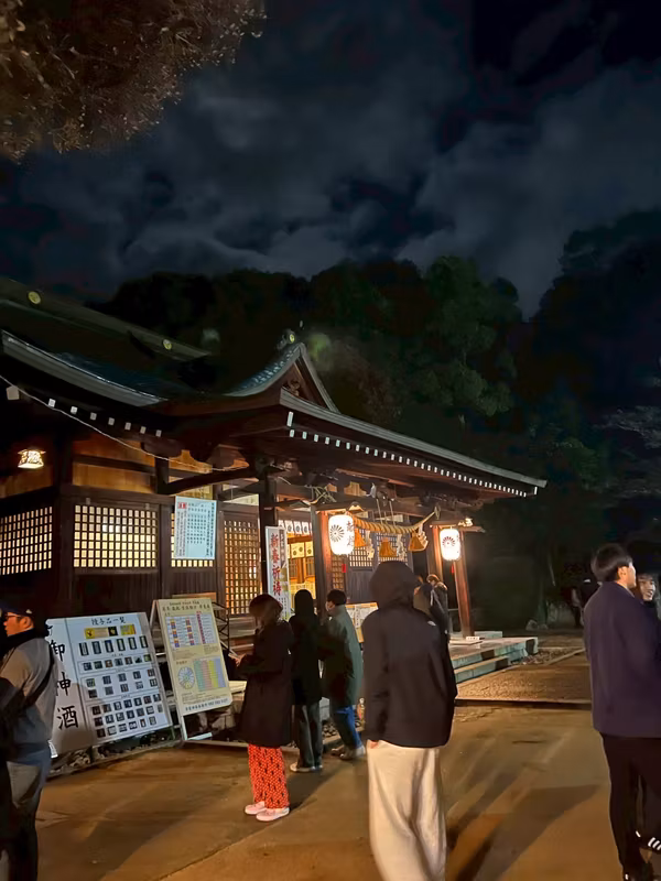 Tokyo Private Tour - Sacred lights in the silence