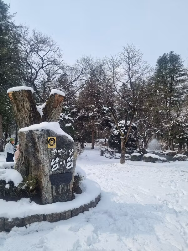 Gyeonggi Private Tour - 