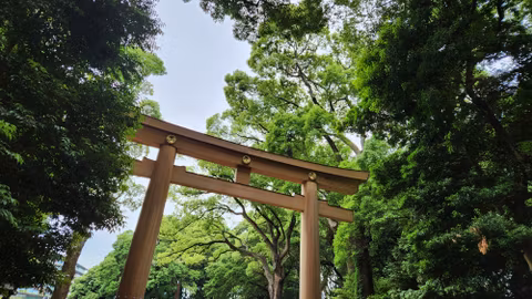 TOKYO Tour of your  choicescover image