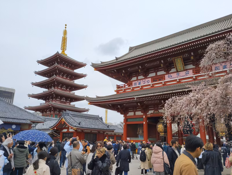 Tokyo Private Tour - Sensoji temple