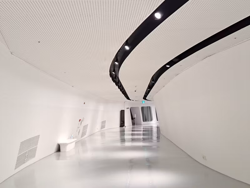 Seoul Private Tour - Dongdaemun Design Plaza