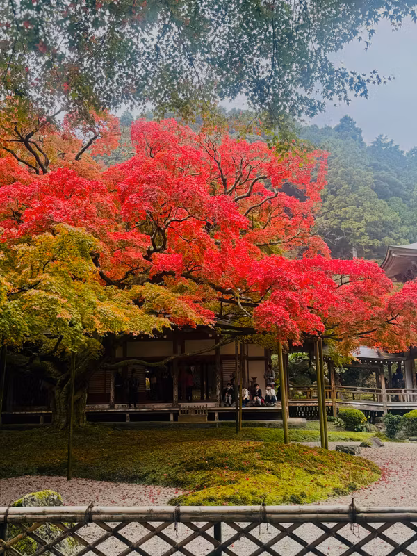 Fukuoka Private Tour - Raizan Kannon