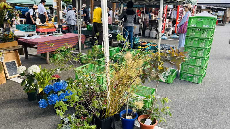 Kyoto Private Tour - at morning market
