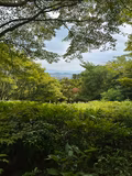 Fully customizable your own private tour in Kyoto - 3