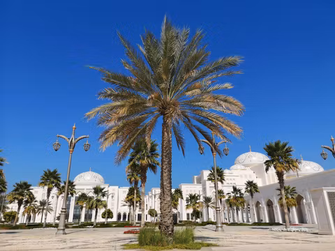 Abu Dhabi City Tour Half Day – Essence of Abu Dhabicover image
