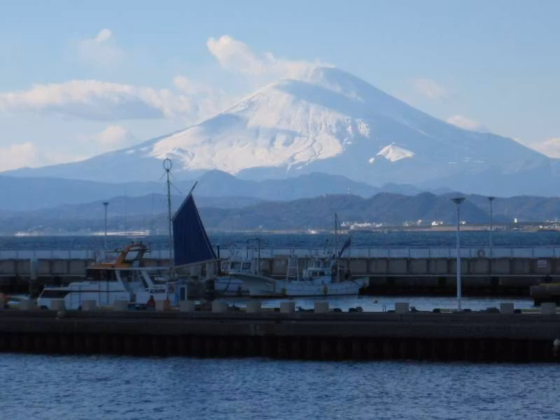 Kanagawa Private Tour - Mt. Fuji from Enoshima Island