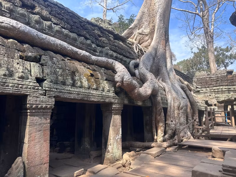 Siem Reap Private Tour - Grand arbre