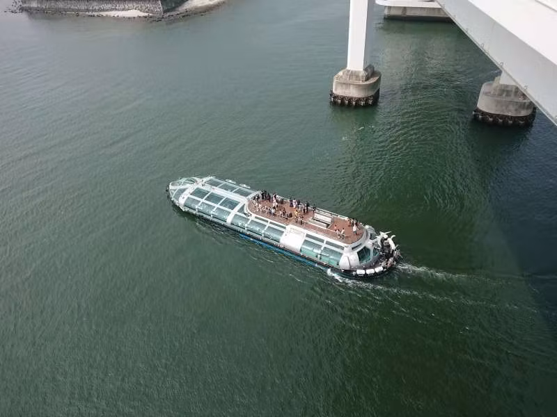 Tokyo Private Tour - Hotaruna cruis shipping under Rainbow bridge