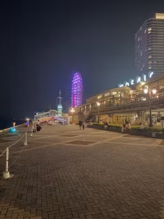 Osaka Private Tour - Southern side of Kobe port