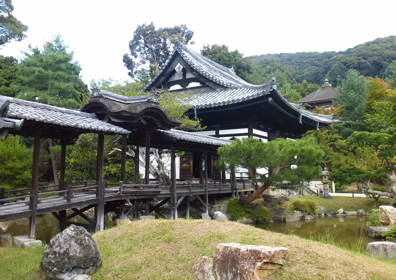 Kyoto Private Tour - Kodaiji Temple