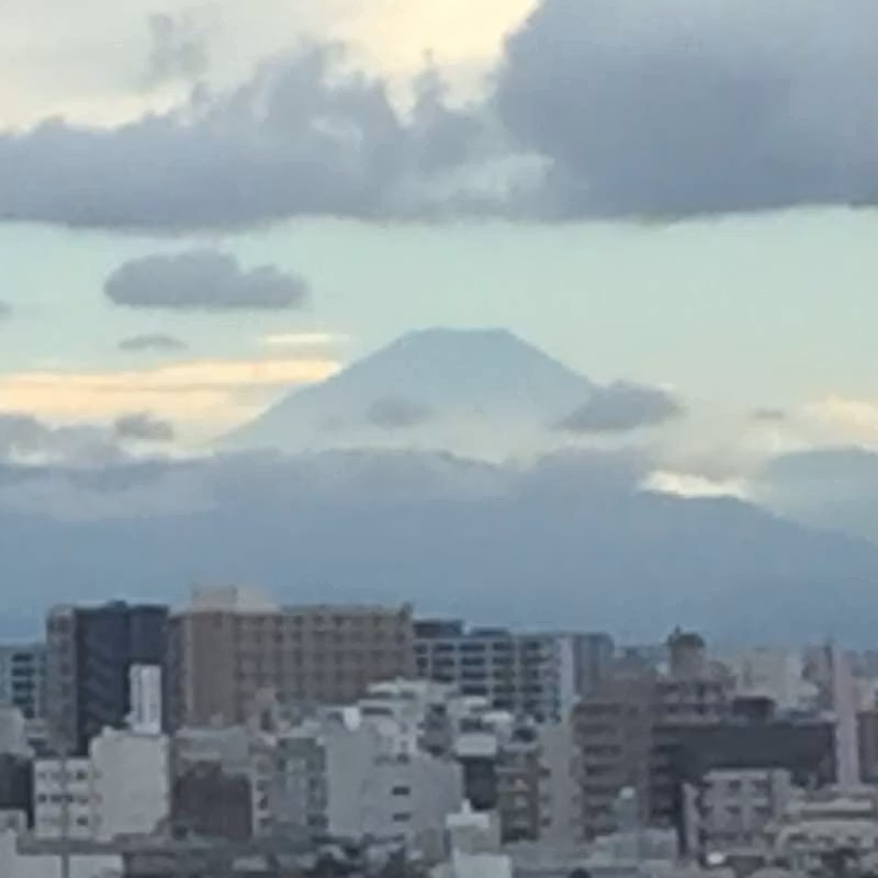 Tokyo Private Tour - If you are lucky, you can see Mt Fuji from Tokyo
