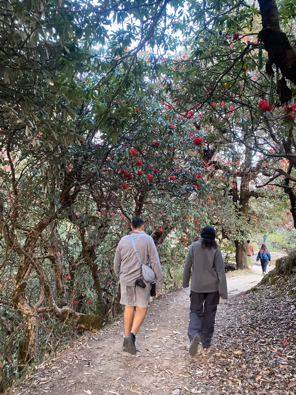 Rishikesh Private Tour - Nature trail