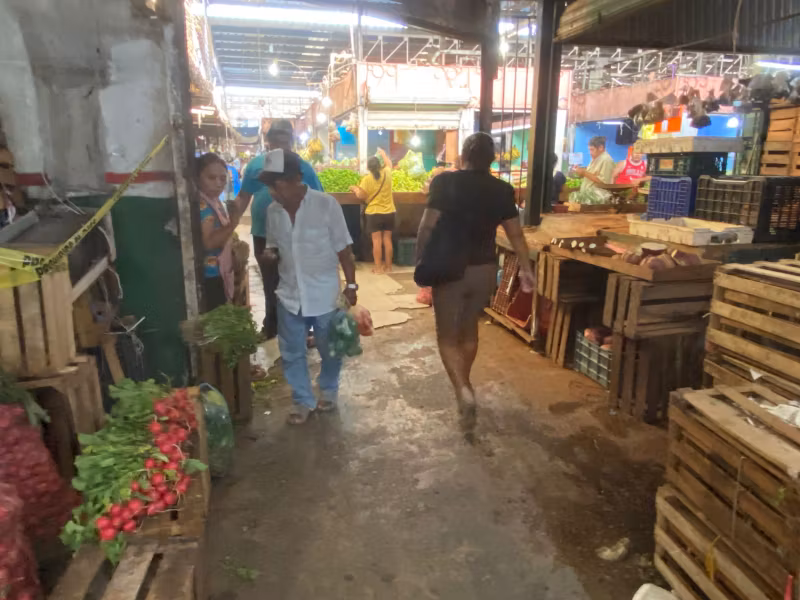 Merida Private Tour - 