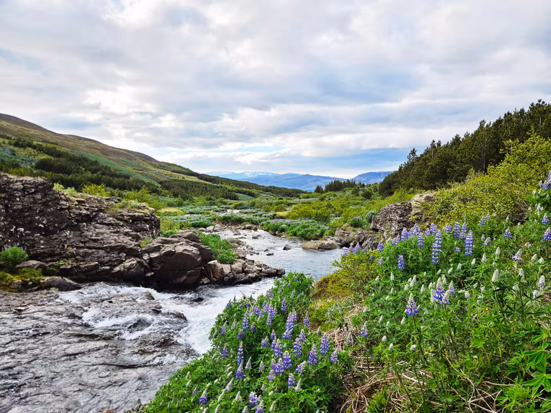 Reykjavik Private Tour - My local walk
