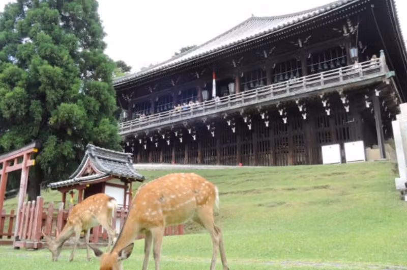 Nara Private Tour - 