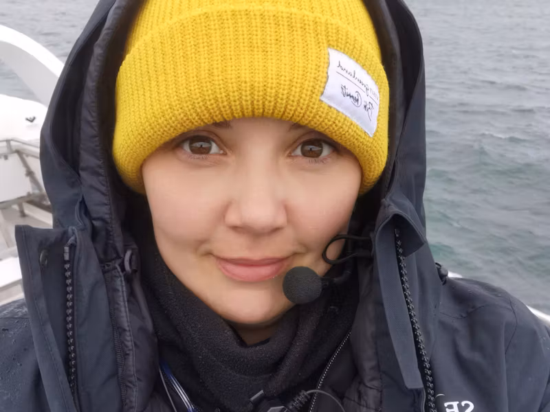 Reykjavik Private Tour - Whale watching guide