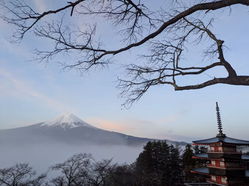 Yamanashi Private Tour - 