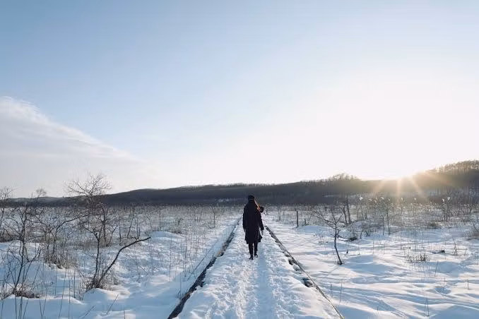 Hokkaido Private Tour - Boardwalk trekking